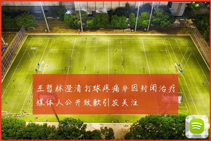 王哲林澄清打球疼痛非因封闭治疗媒体人公开致歉引发关注