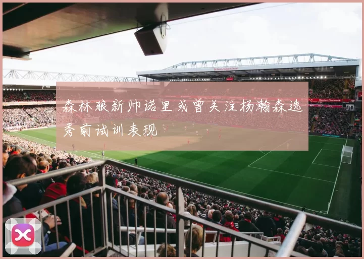 森林狼新帅诺里或曾关注杨瀚森选秀前试训表现